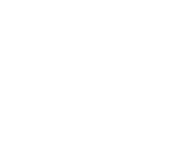 Beetterfly